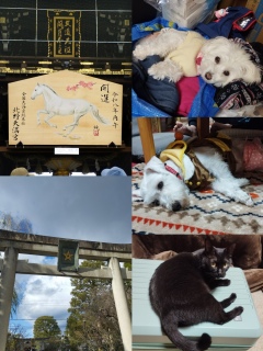 ���N����낵���B